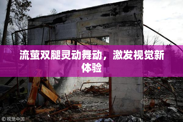 流萤双腿灵动舞动，激发视觉新体验