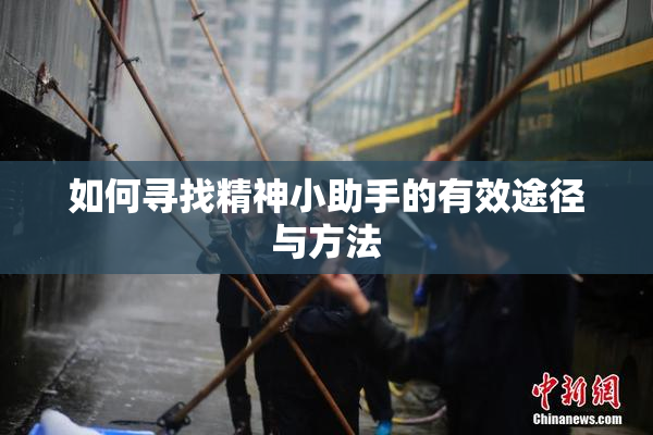 如何寻找精神小助手的有效途径与方法