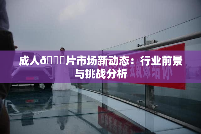成人🔞片市场新动态：行业前景与挑战分析