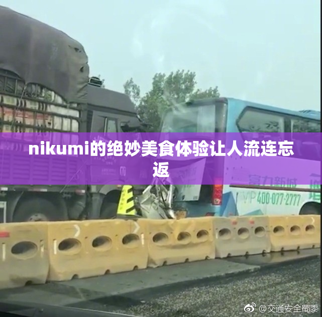 nikumi的绝妙美食体验让人流连忘返