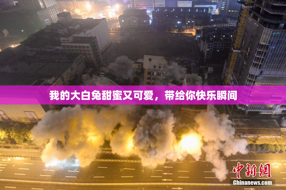 我的大白兔甜蜜又可爱，带给你快乐瞬间