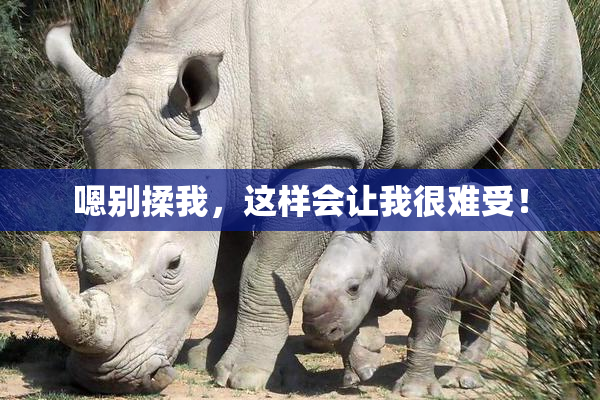 嗯别揉我，这样会让我很难受！