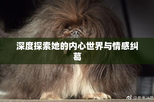 深度探索她的内心世界与情感纠葛