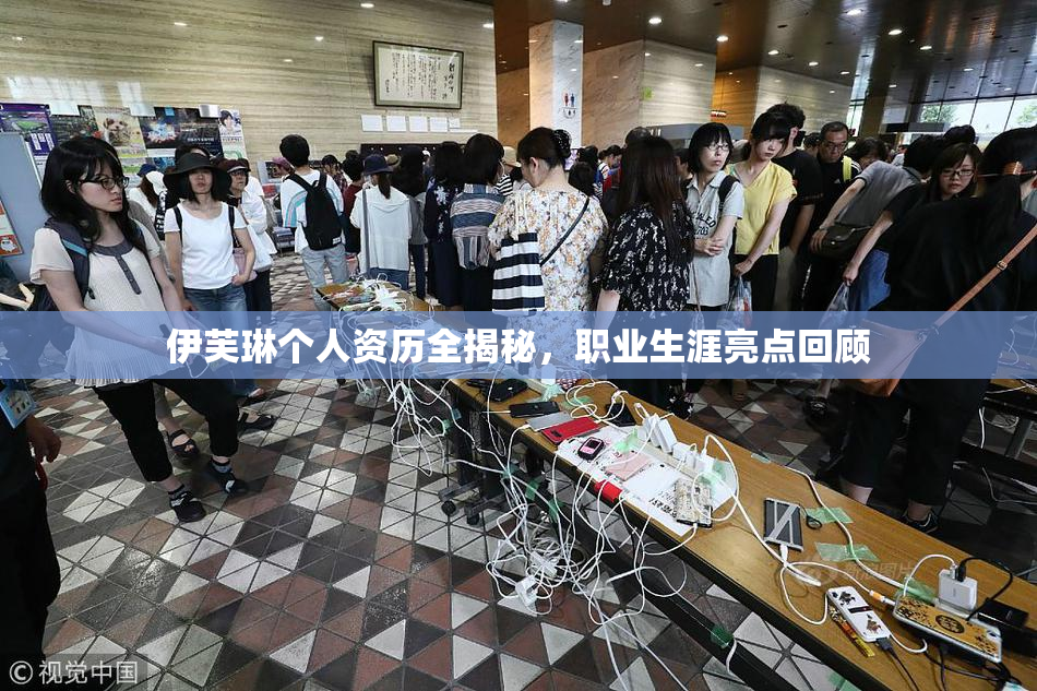 伊芙琳个人资历全揭秘，职业生涯亮点回顾