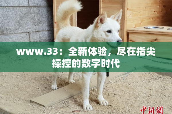www.33：全新体验，尽在指尖操控的数字时代