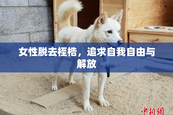 女性脱去桎梏，追求自我自由与解放
