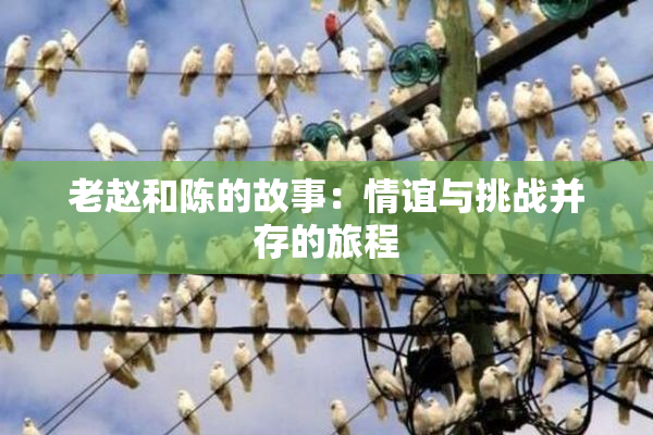 老赵和陈的故事：情谊与挑战并存的旅程