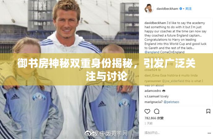 御书房神秘双重身份揭秘，引发广泛关注与讨论