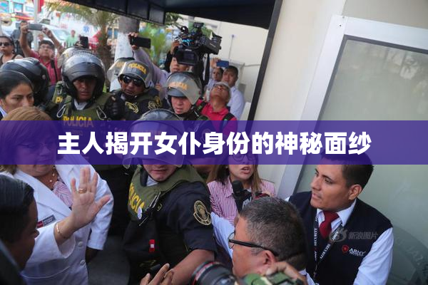 主人揭开女仆身份的神秘面纱