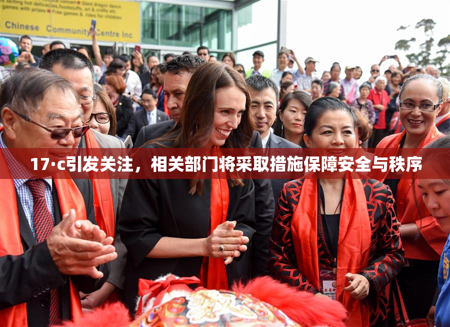 17·c引发关注，相关部门将采取措施保障安全与秩序