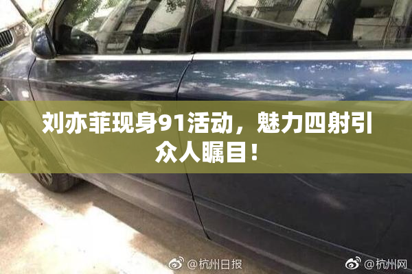 刘亦菲现身91活动，魅力四射引众人瞩目！