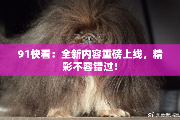 91快看：全新内容重磅上线，精彩不容错过！