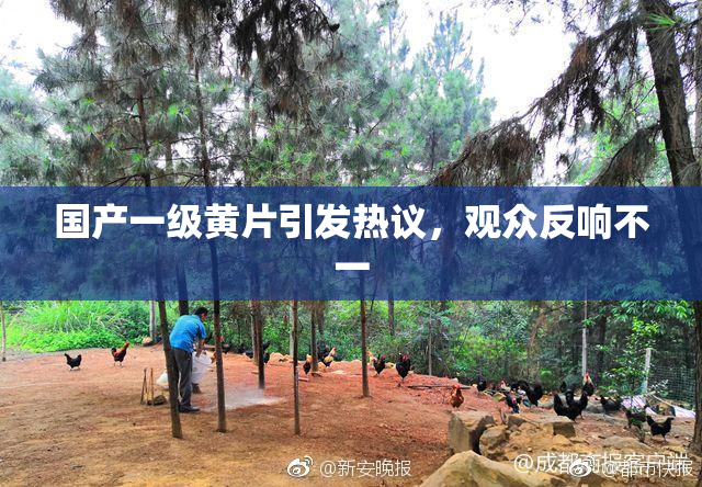 国产一级黄片引发热议，观众反响不一