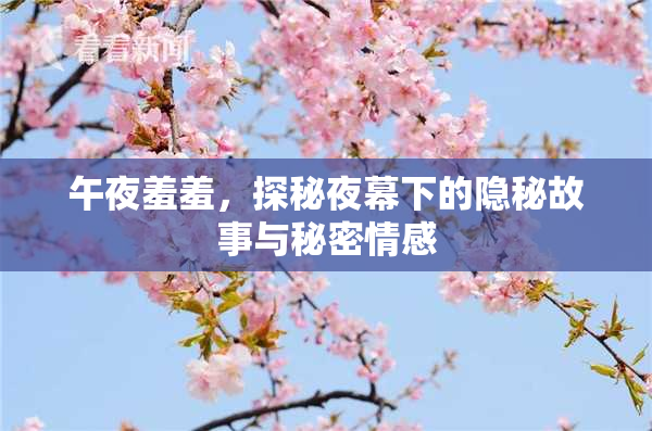 午夜羞羞，探秘夜幕下的隐秘故事与秘密情感