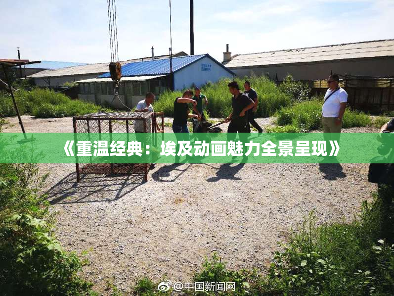 《重温经典：埃及动画魅力全景呈现》
