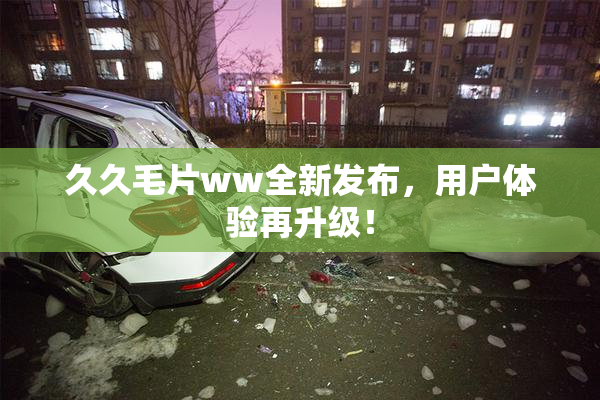 久久毛片ww全新发布，用户体验再升级！