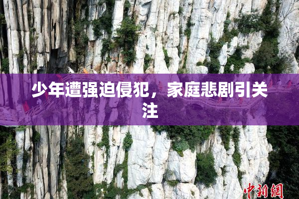 少年遭强迫侵犯，家庭悲剧引关注