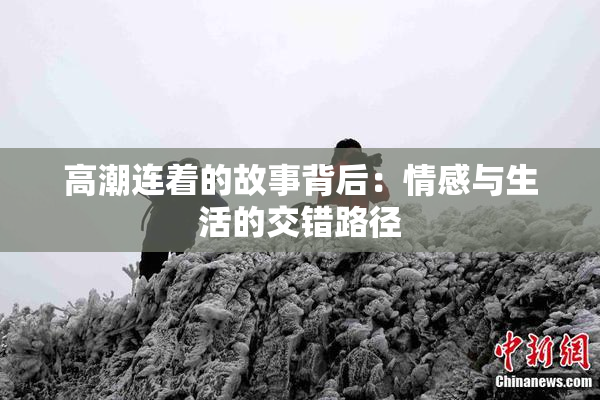 高潮连着的故事背后：情感与生活的交错路径