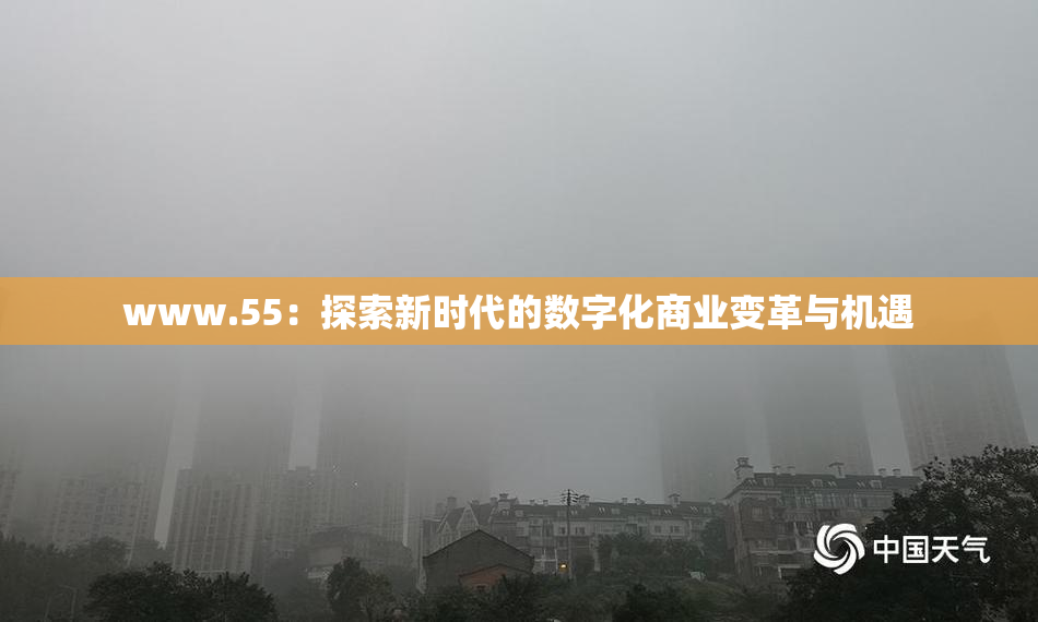 www.55：探索新时代的数字化商业变革与机遇