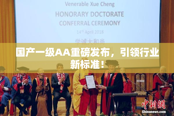 国产一级AA重磅发布，引领行业新标准！