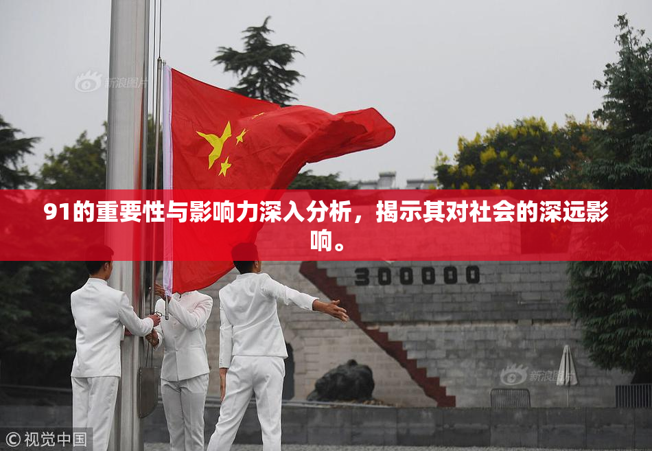 91的重要性与影响力深入分析，揭示其对社会的深远影响。