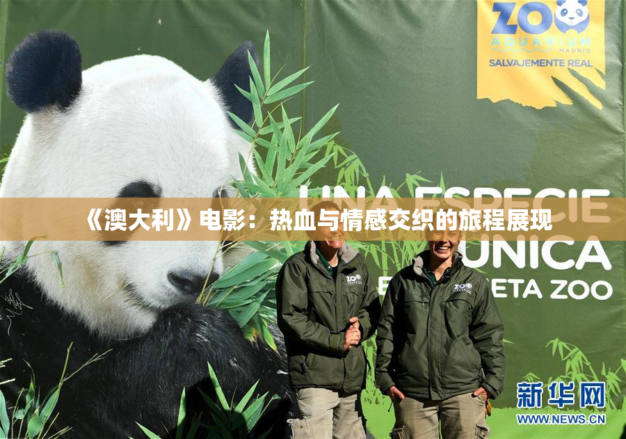 《澳大利》电影：热血与情感交织的旅程展现