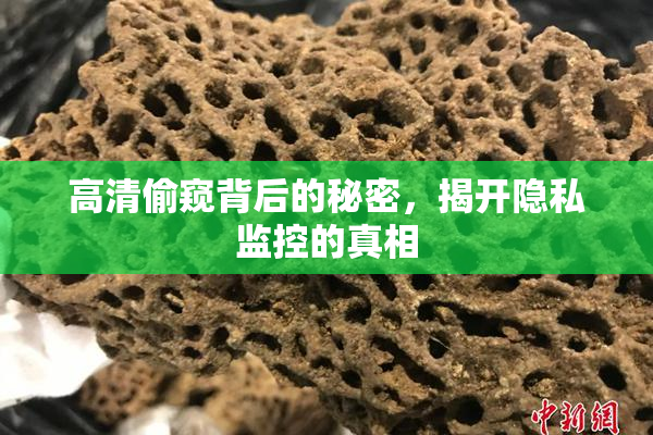 高清偷窥背后的秘密，揭开隐私监控的真相
