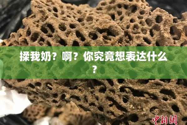 揉我奶？啊？你究竟想表达什么？