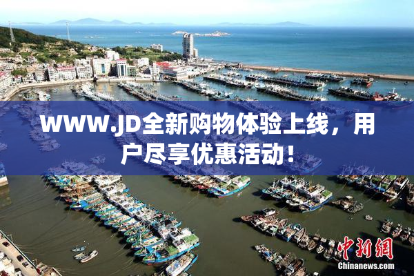 WWW.JD全新购物体验上线，用户尽享优惠活动！