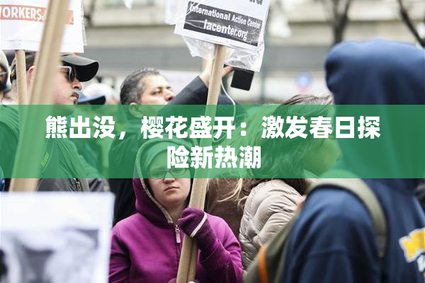 熊出没，樱花盛开：激发春日探险新热潮