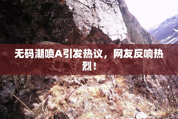 无码潮喷A引发热议，网友反响热烈！