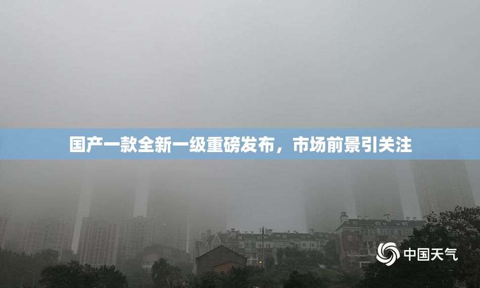 国产一款全新一级重磅发布，市场前景引关注