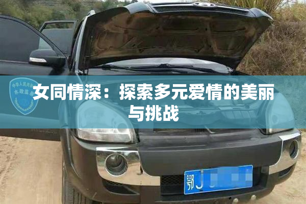 女同情深：探索多元爱情的美丽与挑战