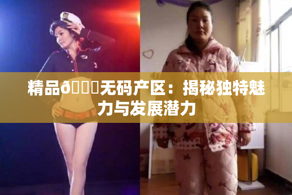 精品🌃无码产区：揭秘独特魅力与发展潜力