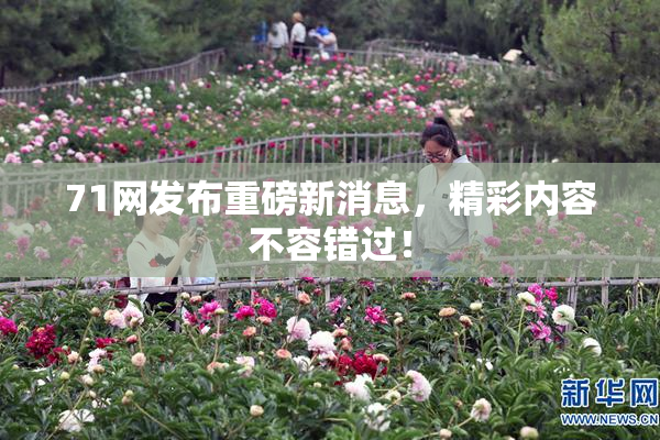 71网发布重磅新消息，精彩内容不容错过！