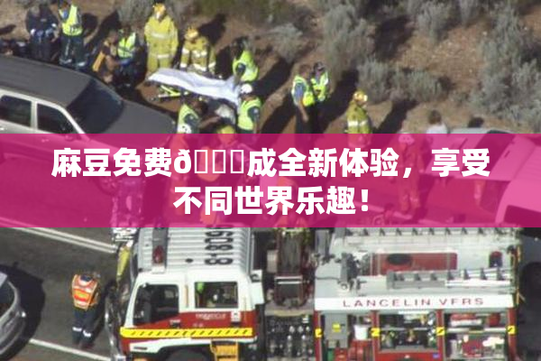 麻豆免费🔞成全新体验，享受不同世界乐趣！