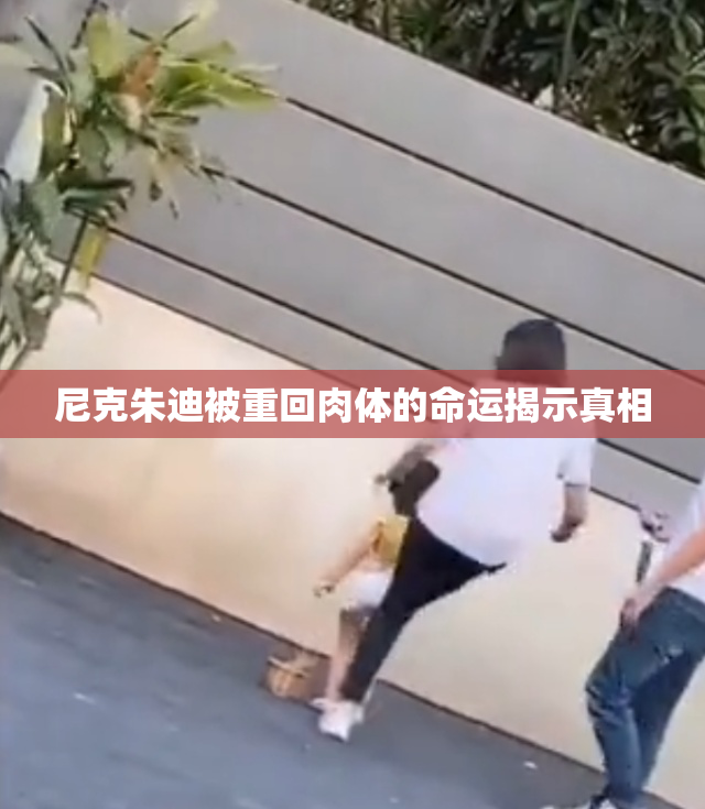 尼克朱迪被重回肉体的命运揭示真相