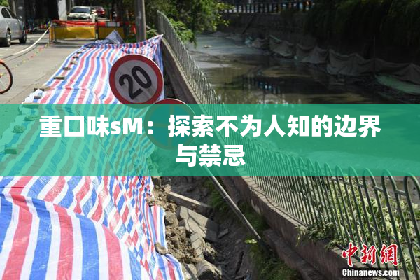 重口味sM：探索不为人知的边界与禁忌