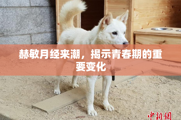 赫敏月经来潮，揭示青春期的重要变化