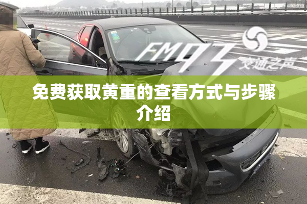 免费获取黄重的查看方式与步骤介绍