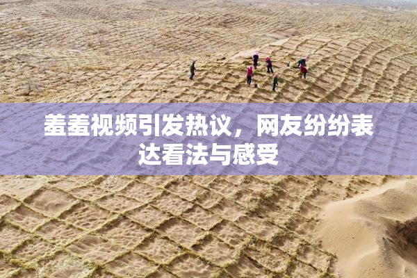 羞羞视频引发热议，网友纷纷表达看法与感受