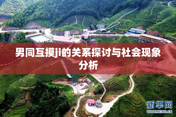 男同互摸ji的关系探讨与社会现象分析