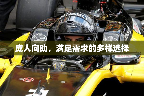 成人向助，满足需求的多样选择