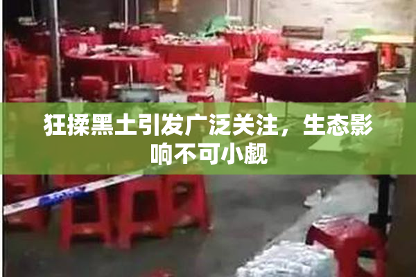 狂揉黑土引发广泛关注，生态影响不可小觑