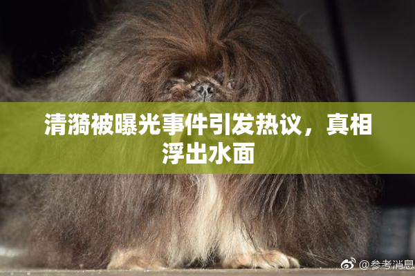清漪被曝光事件引发热议，真相浮出水面