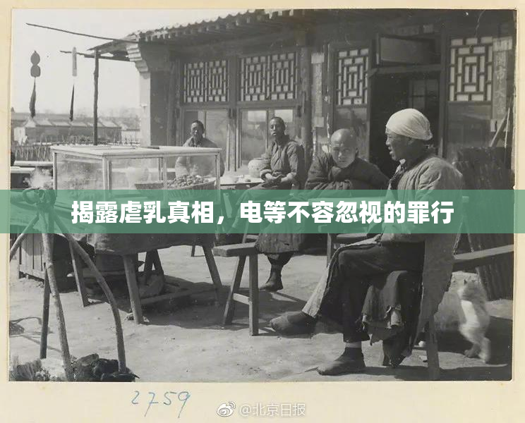 揭露虐乳真相，电等不容忽视的罪行