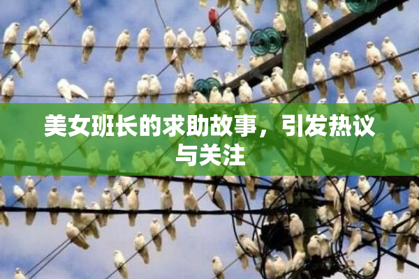 美女班长的求助故事，引发热议与关注