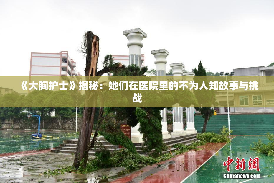 《大胸护士》揭秘：她们在医院里的不为人知故事与挑战