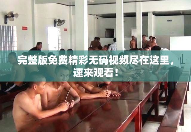 完整版免费精彩无码视频尽在这里，速来观看！