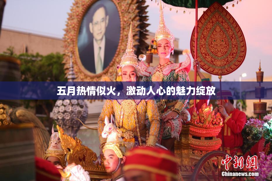 五月热情似火，激动人心的魅力绽放